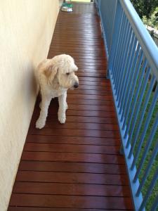 Narrow timber balcony